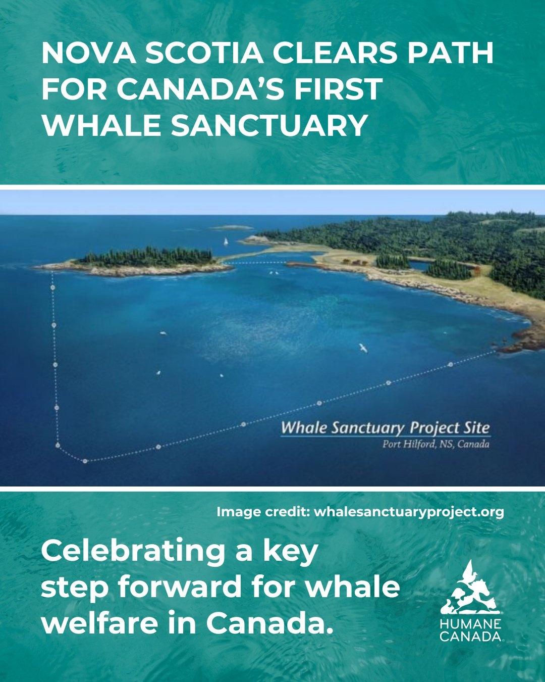 鯨豚庇護所計畫5年前就提出。(X)