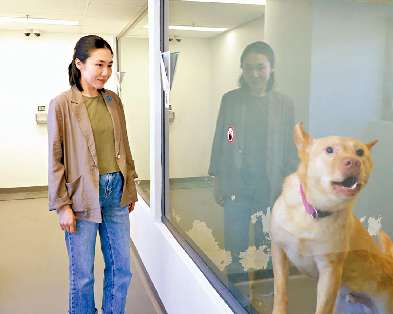 愛護動物協會 愛協