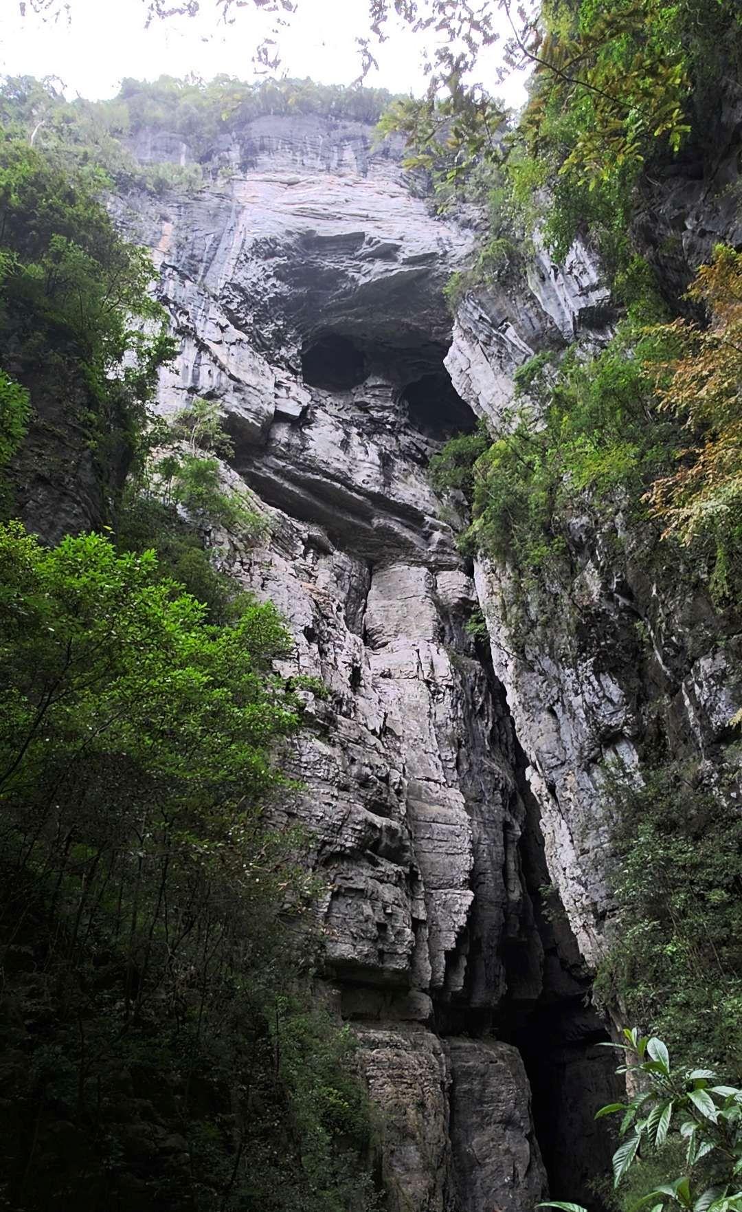 黑龍橋上方的岩壁,巧合地像極一頭大猩猩,眼眶與嘴巴都很神似。