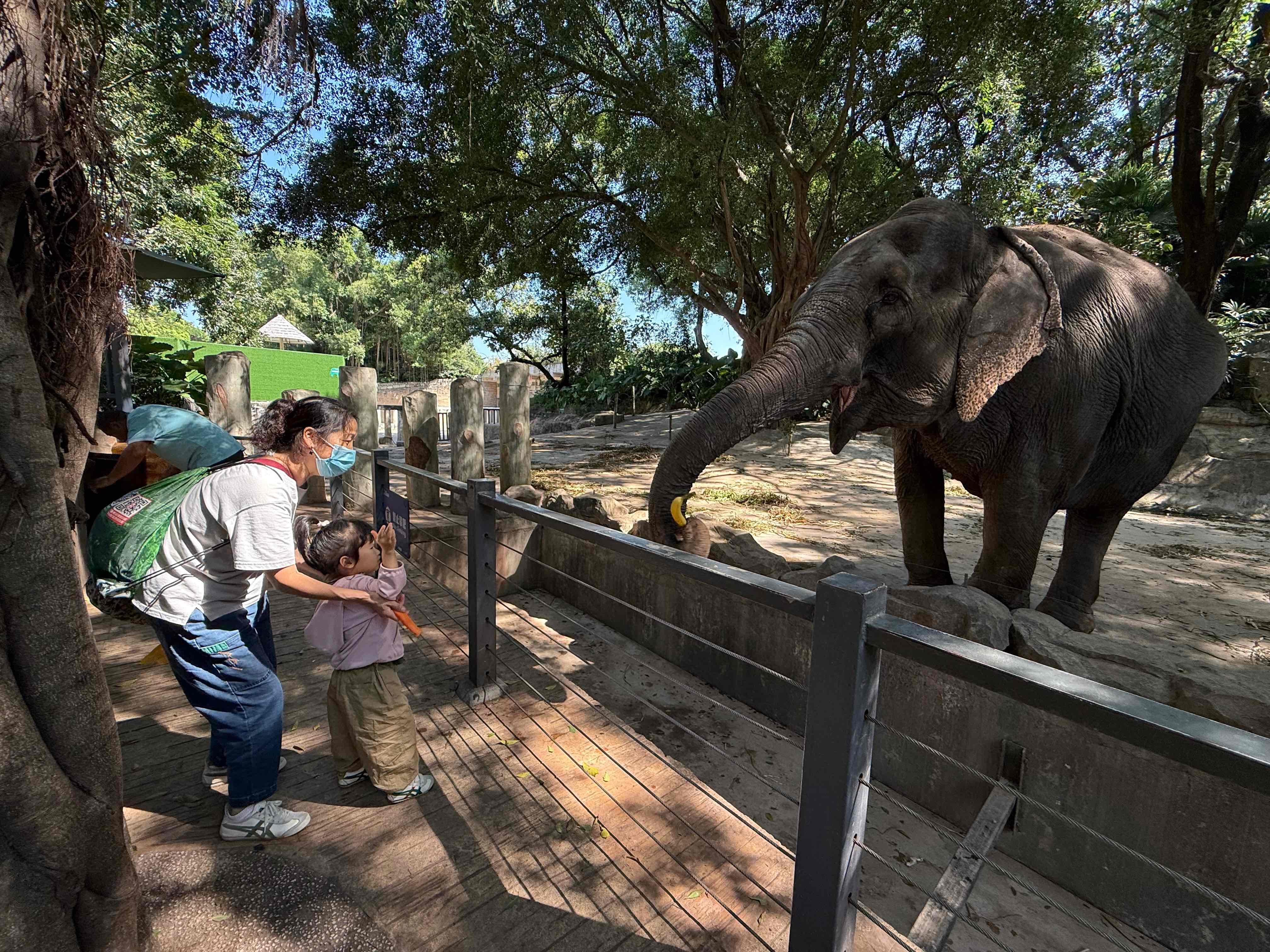 深圳好去處|深圳野生動物園