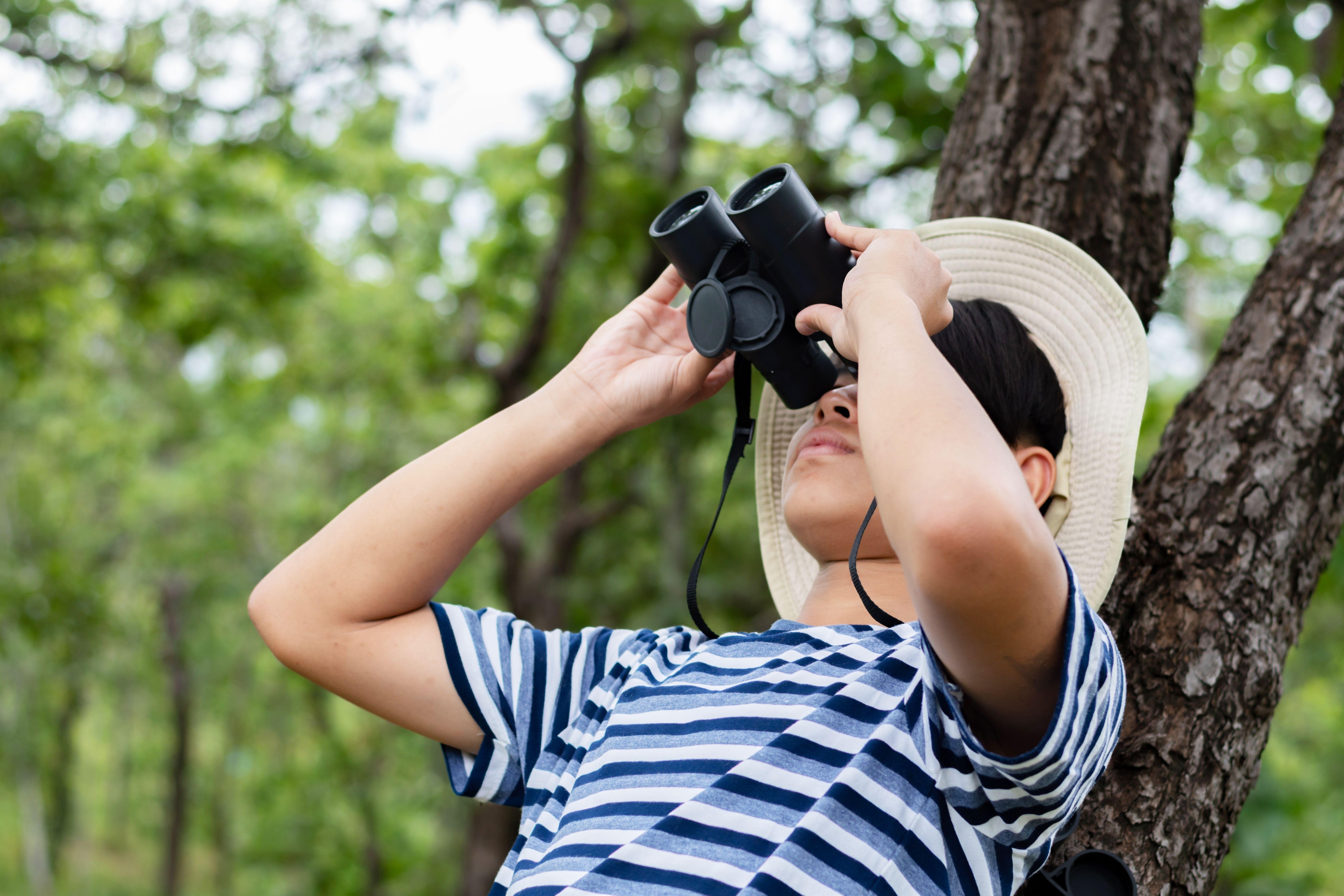 斃家伙,動物唔見咗