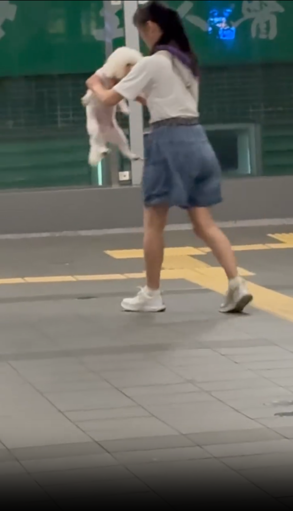 事後抱起狗狗離開。(threads/5.medicine.5)