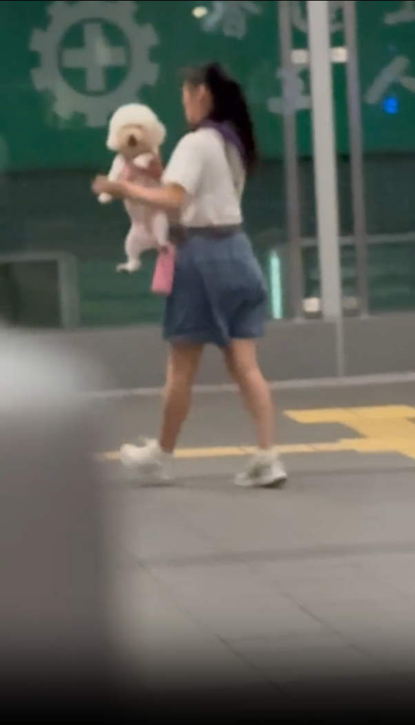 事後抱起狗狗離開。(threads/5.medicine.5)