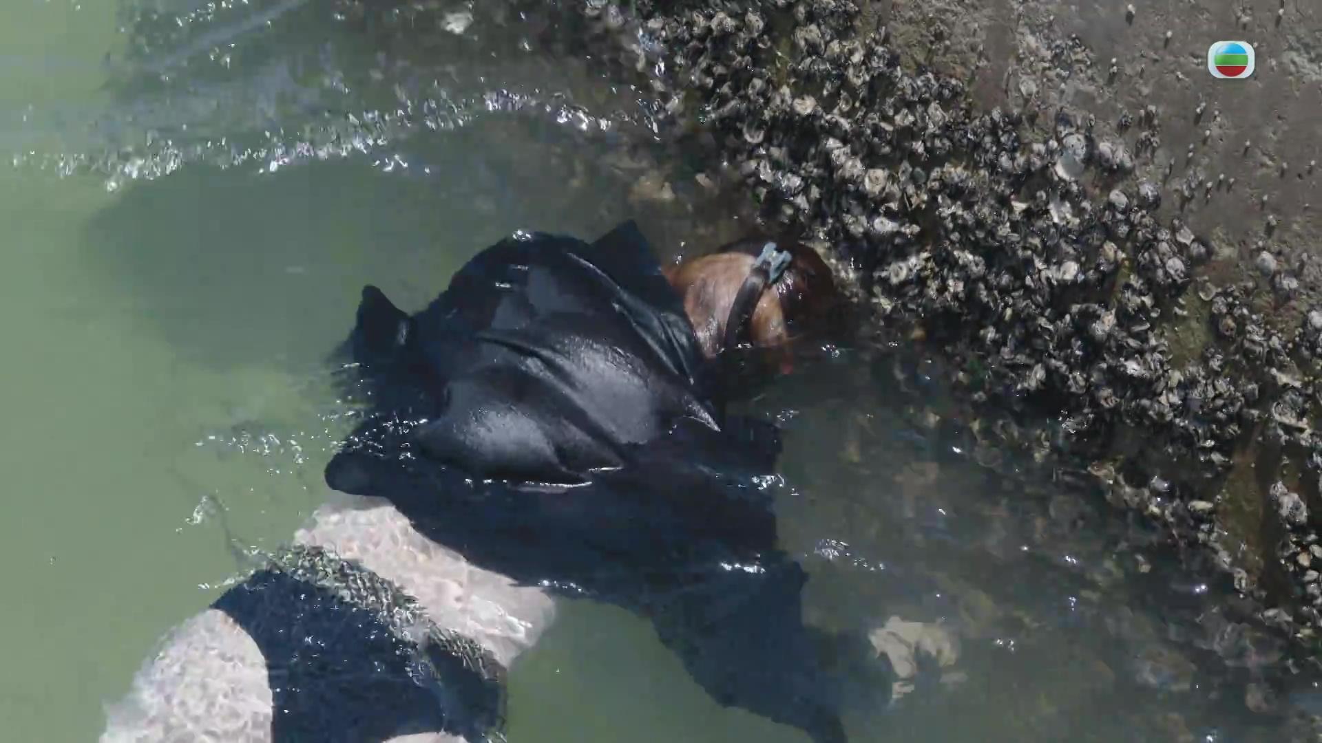 廖慧儀親身上陣演浮屍,好專業。