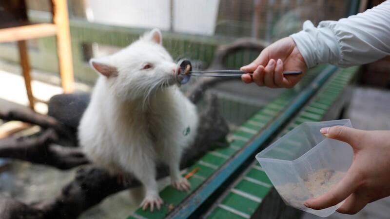 深圳好去處|WOWO窩窩萌寵森友會(世界之窗店)