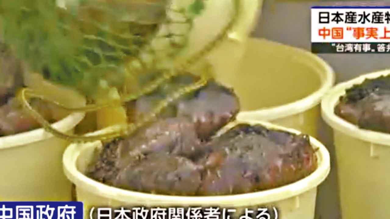 日本海參也主要出口到中國。(互聯網)