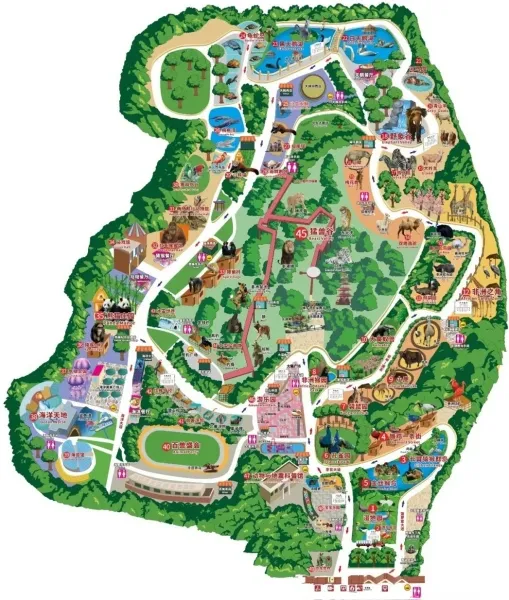 深圳好去處|深圳野生動物園