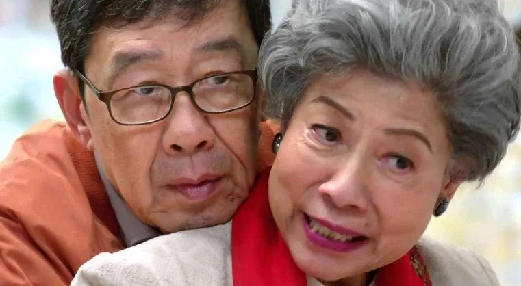 胡楓與羅蘭經常合作。