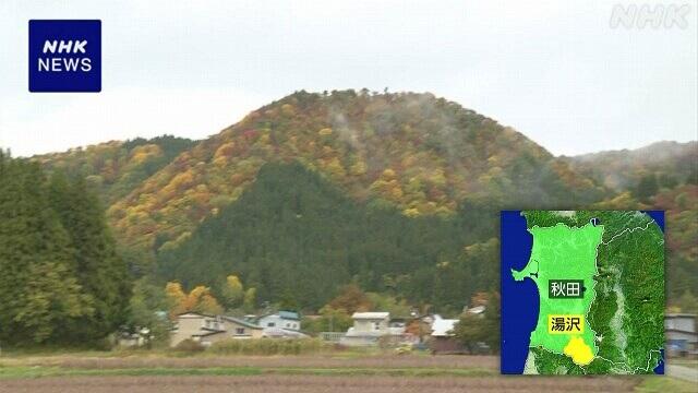 日本熊害|79歲婦失蹤一日尋回 臉腹嚴重損毀有咬痕