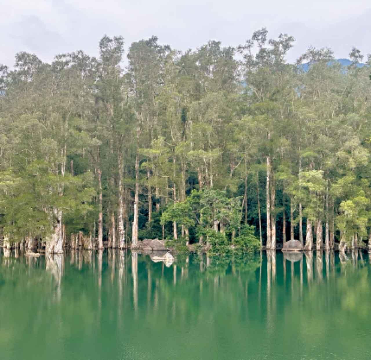 百看不厭的百千層。