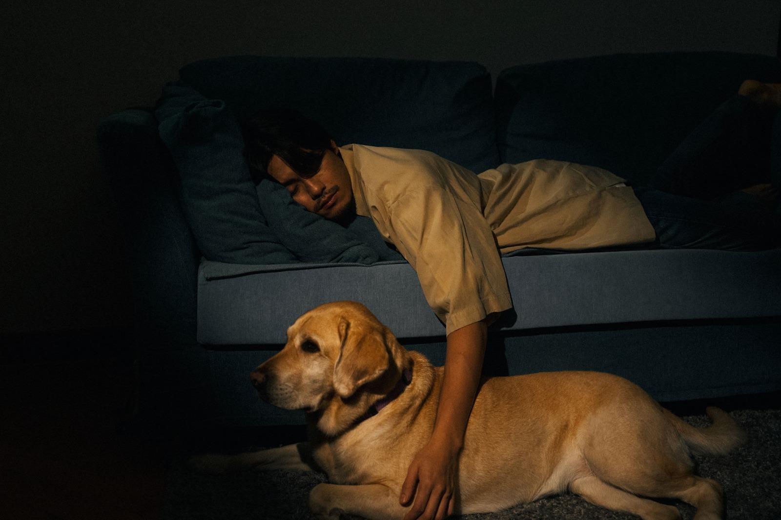 MV講述視障人士在最初領養導盲犬時對於導盲犬並未存在信任。