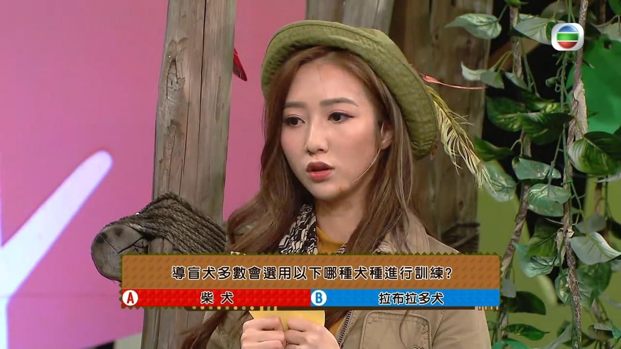 何依婷入行時曾主持兒童節目。