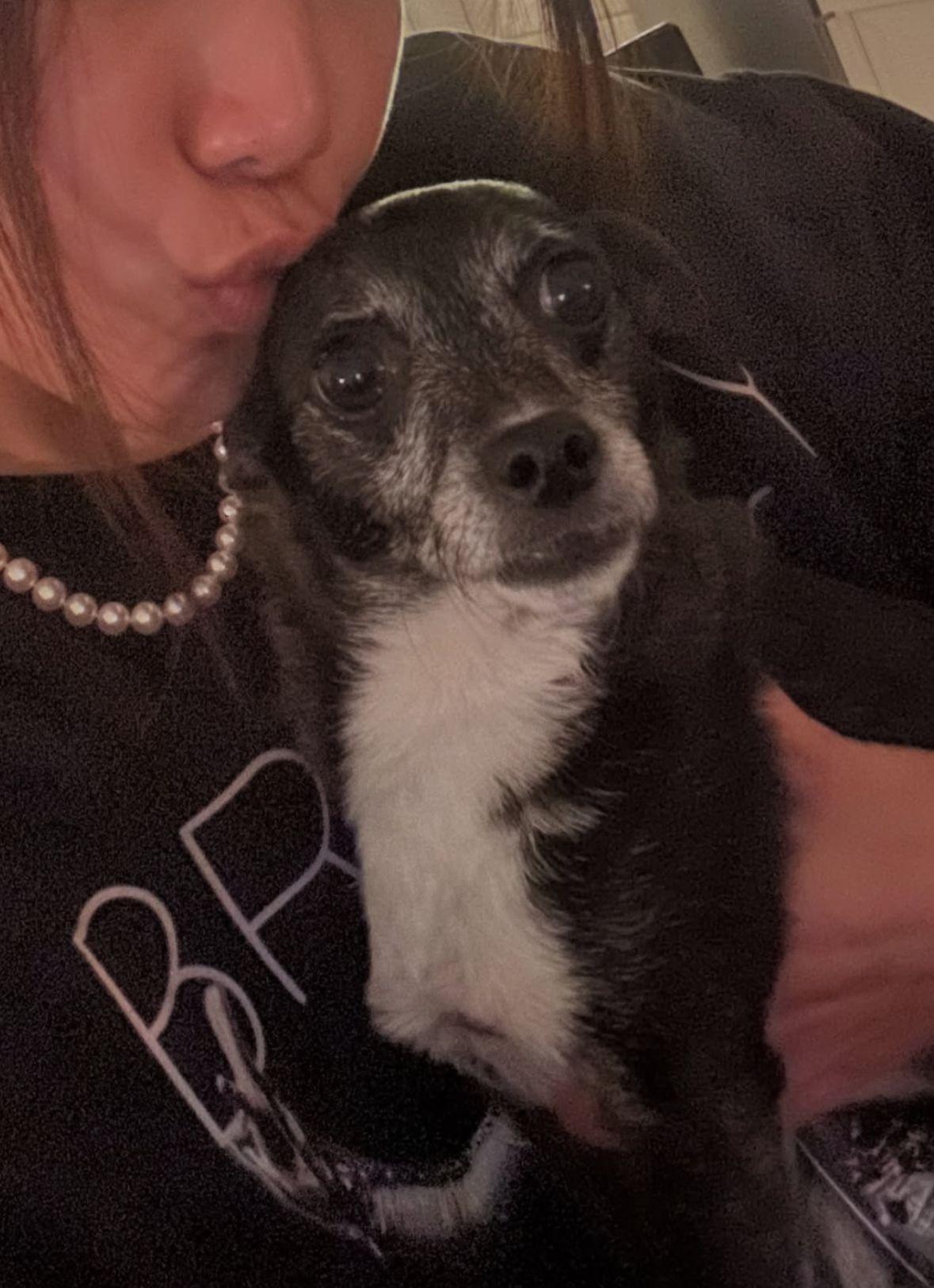 姜麗文表示現階段情況有好轉,這一星期已經比較穩定。