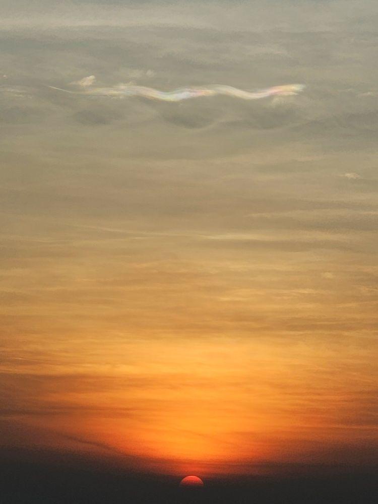 香港上空現「飛龍」,天文台表示需要浪形雲與虹彩雲完美配合才會出現。(香港天文台 HKO)