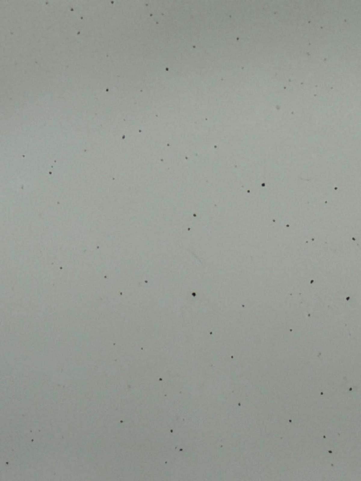 食水滿布黑點。(丁江浩FB)