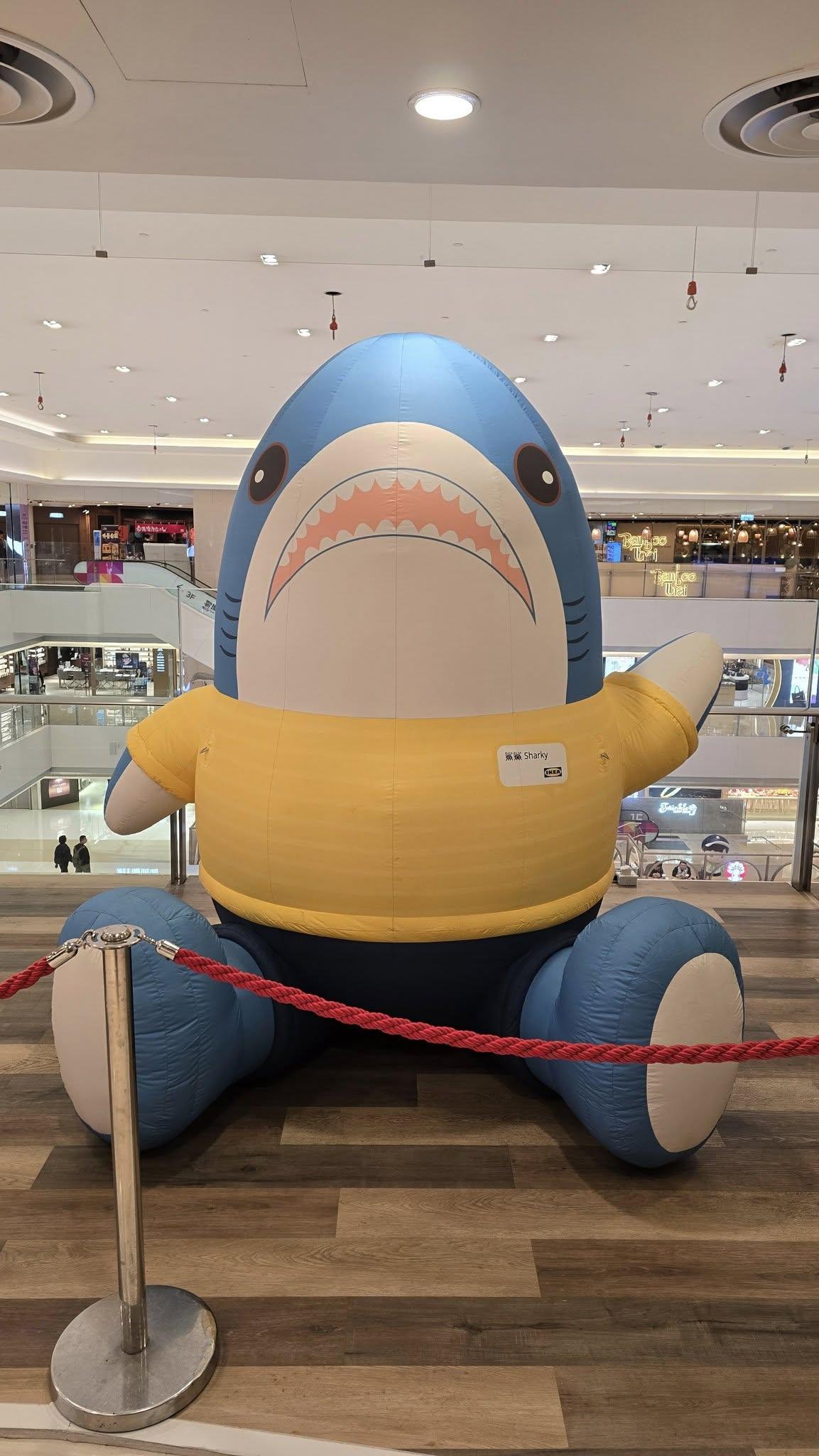 IKEA宜家家居已在屯門市廣場1期3樓位置圍版進行裝修工程,舖位對出空間位置放置家具陳列品及兩隻巨型吉祥物鯊魚和泰迪熊公仔,公仔旁亦放有寫上「宜家嚟啦!」告示架。(真.屯門友fb)