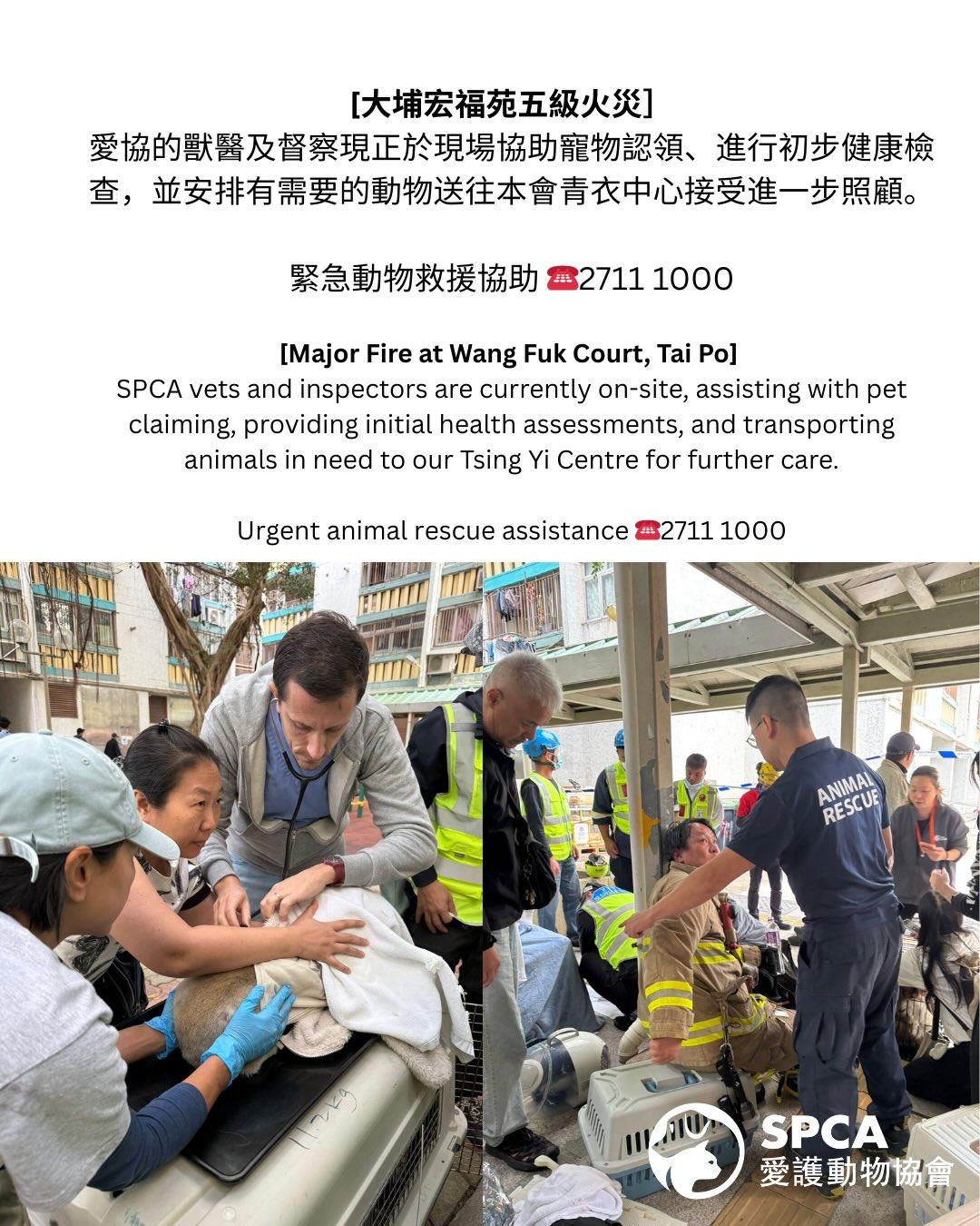 愛協會設立臨時寵物認領區 歡迎市民捐贈寵物糧食