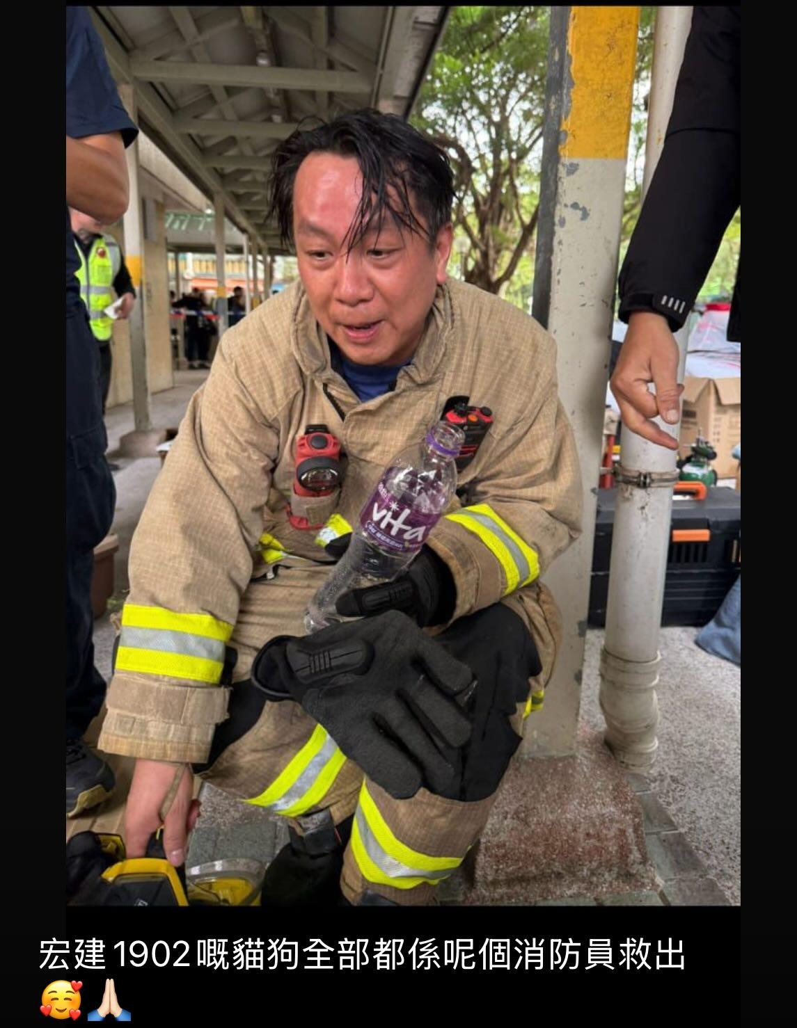 消防員於火場單位內救出10隻貓狗。(Threads「cp._emma」圖片)
