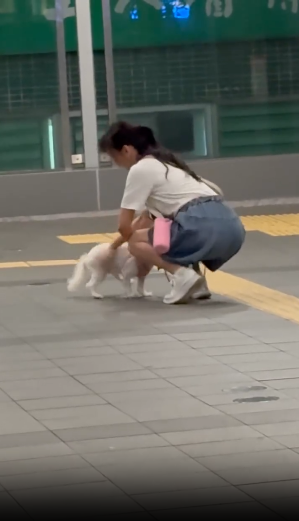 女子突然抬手拍打狗狗4至5下。(threads/5.medicine.5)