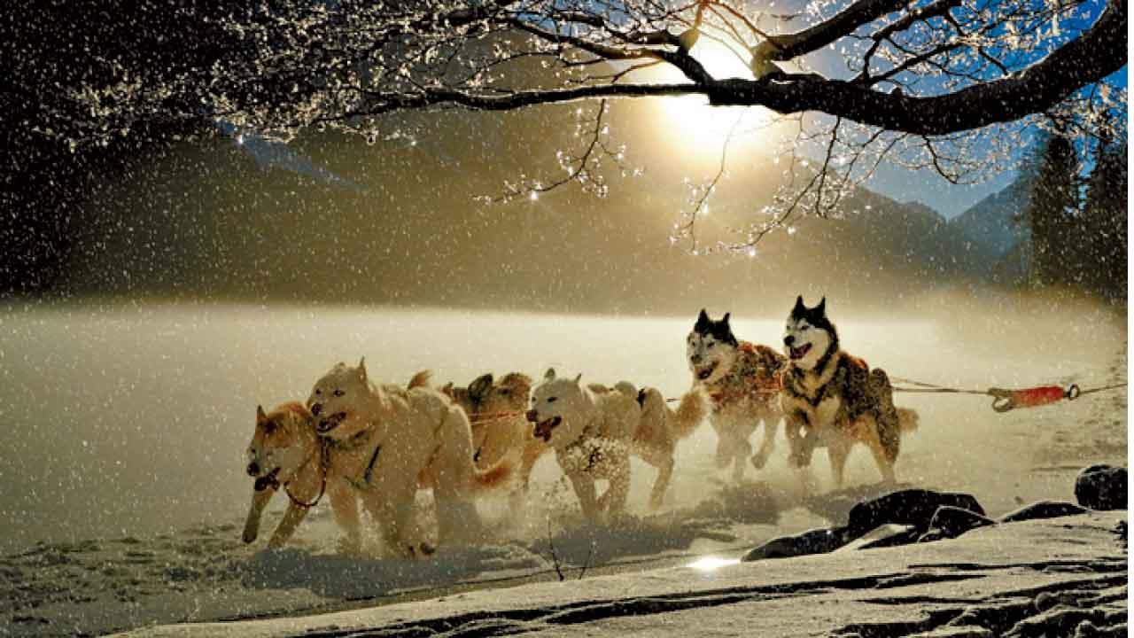 追光之旅 冬日北歐四國深度遊