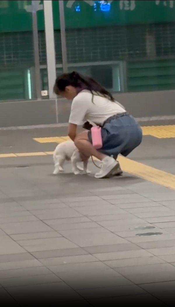 女子突然抬手拍打狗狗4至5下。(threads/5.medicine.5)