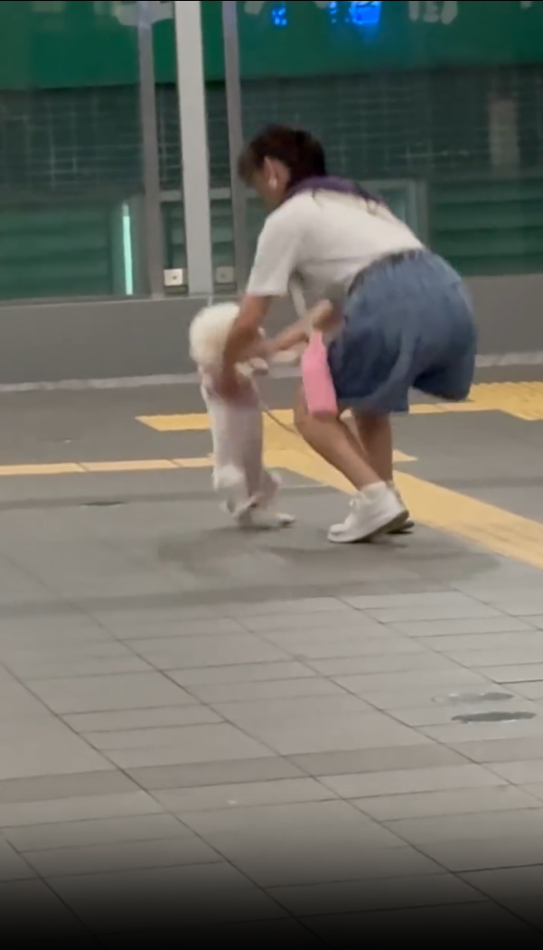 事後抱起狗狗離開。(threads/5.medicine.5)