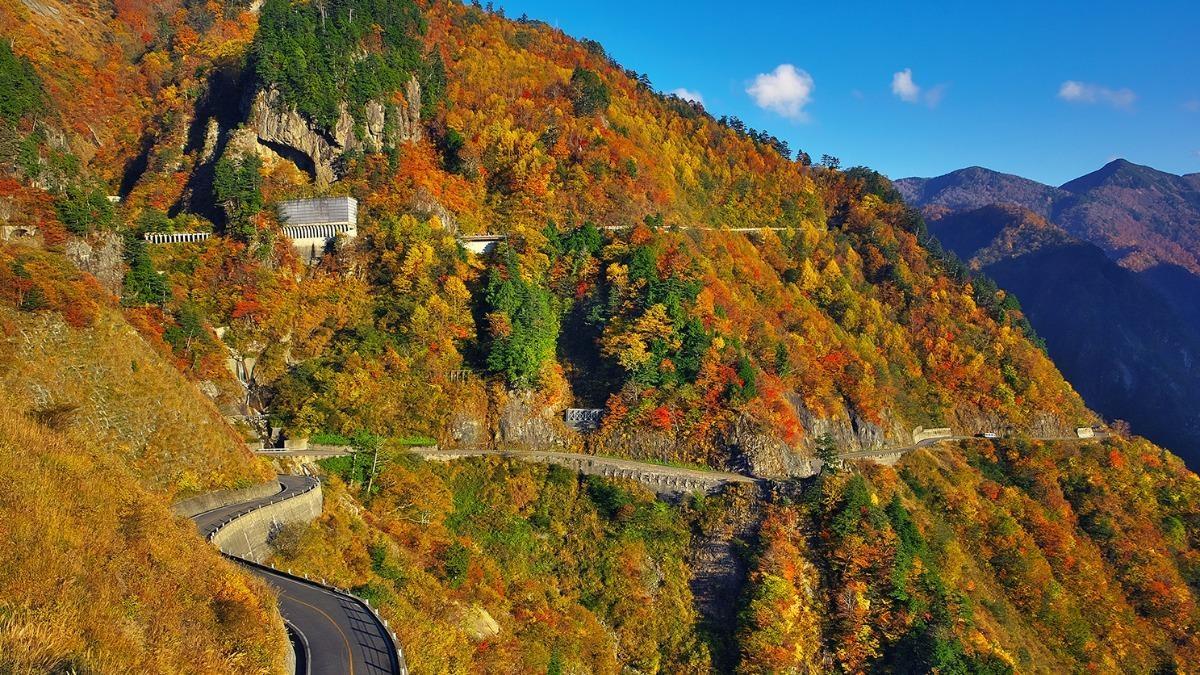 日本自駕遊疑誤踩油門 8旬夫婦連人帶車衝破護欄墮谷亡