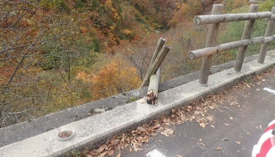 日本自駕遊疑誤踩油門 8旬夫婦連人帶車衝破護欄墮谷亡