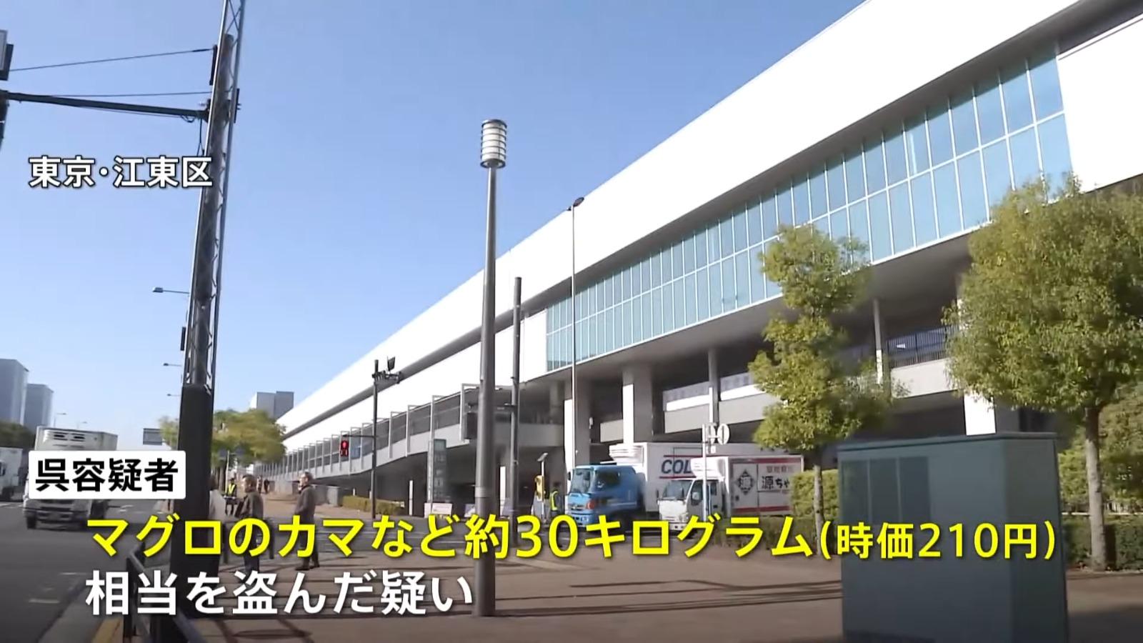涉案30公斤魚骨市值約210日圓(約10.5港元)。(影片截圖)
