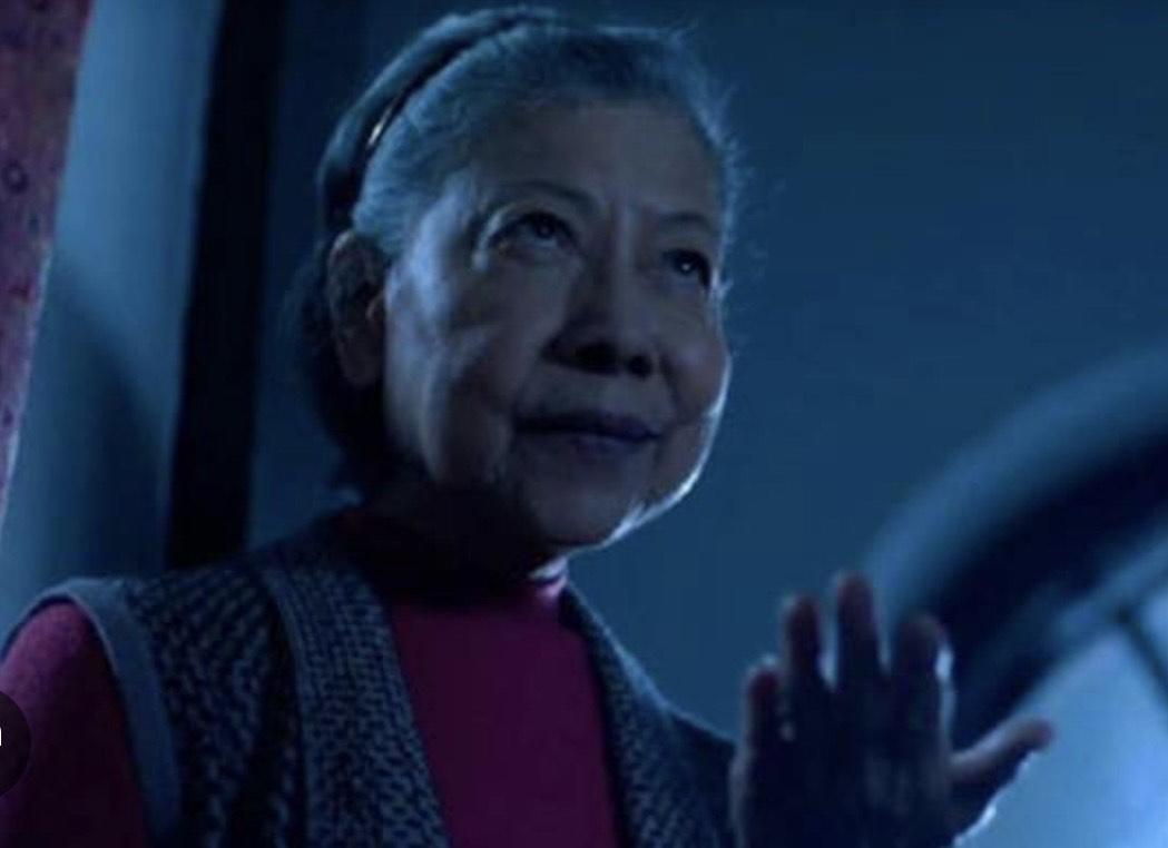 羅蘭經常現身《陰陽路》系列,成為恐怖片的標誌人物。