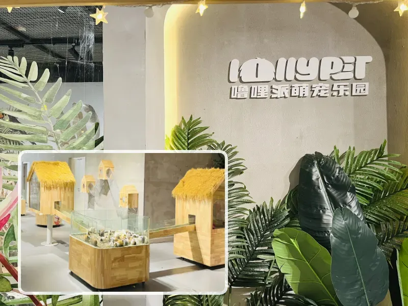 深圳好去處|Lollypet萌寵樂園
