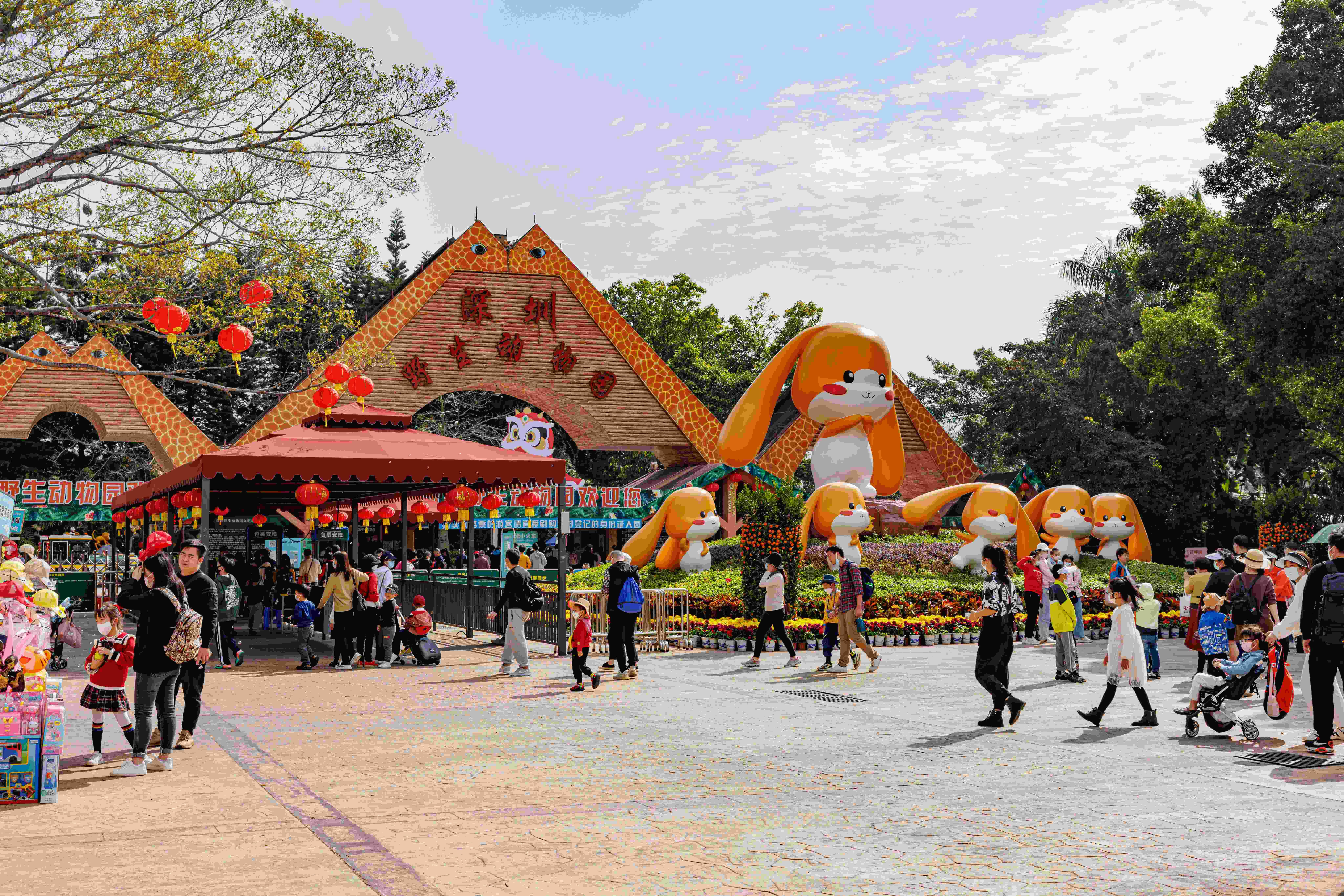 深圳好去處|深圳野生動物園