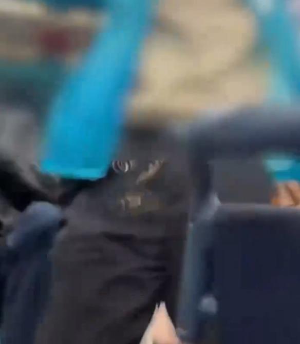 女乘客及其身旁的乘客試圖將老人推開。