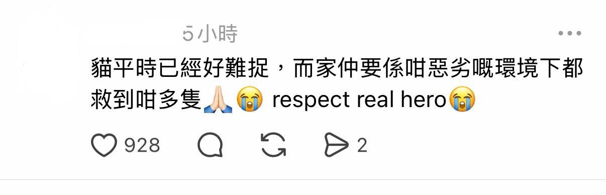 亦有人留言:「貓平時已經好難捉,而家仲要係咁惡劣嘅環境下都救到咁多隻,respect real hero。」