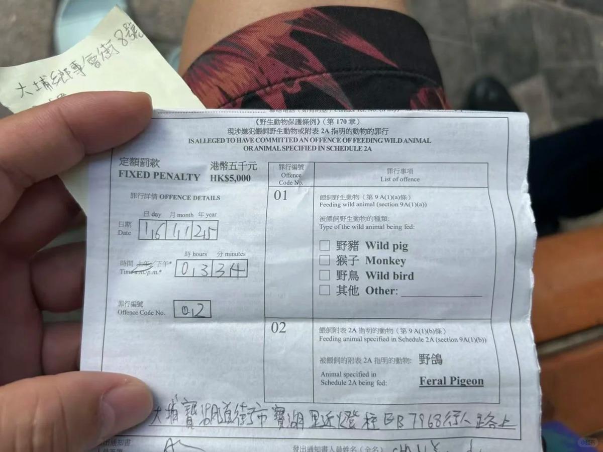 社交平台小紅書近日有內地女網民發文,稱自己往香港旅遊時,因餵食野生鴿子被罰款5000港元,並稱「內地可以隨意餵」,並提醒準備訪港的人要注意相關法例。