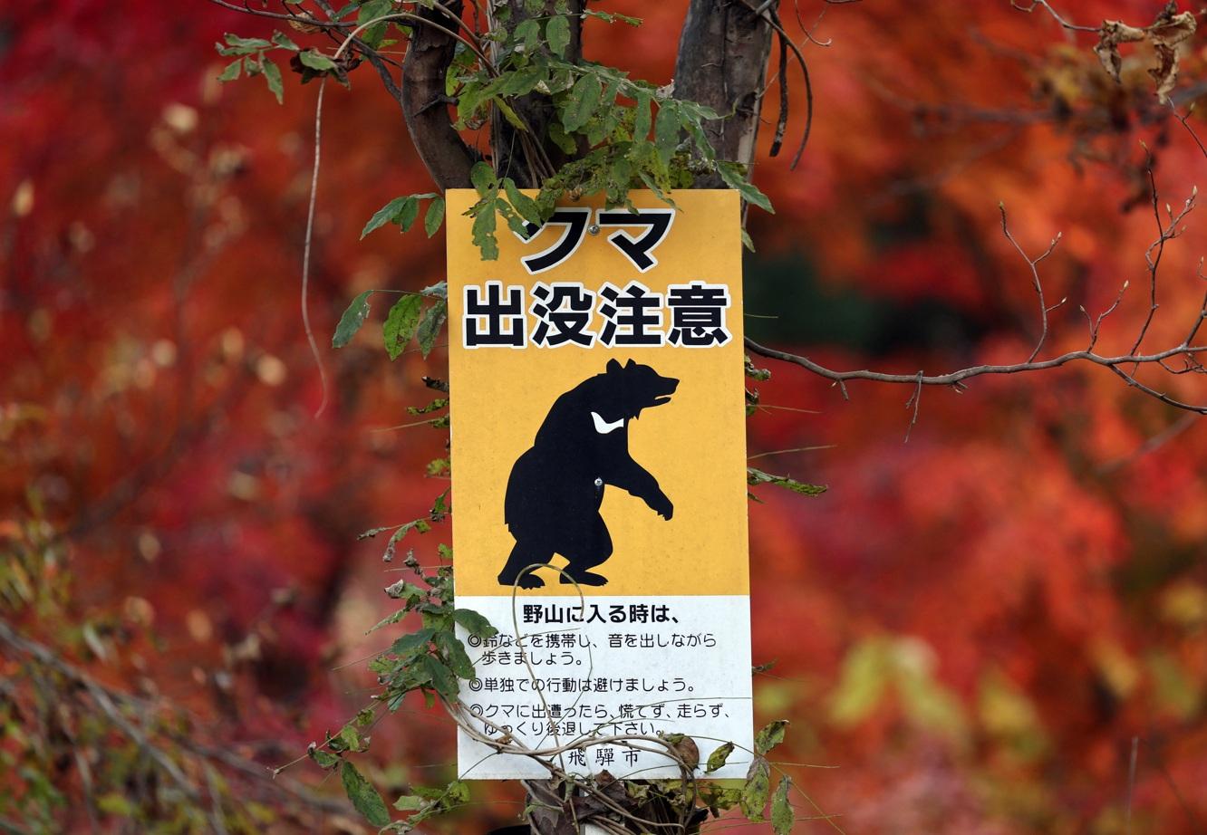 岐阜縣飛驒山區設立熊出沒注意警告牌。(資料圖片)
