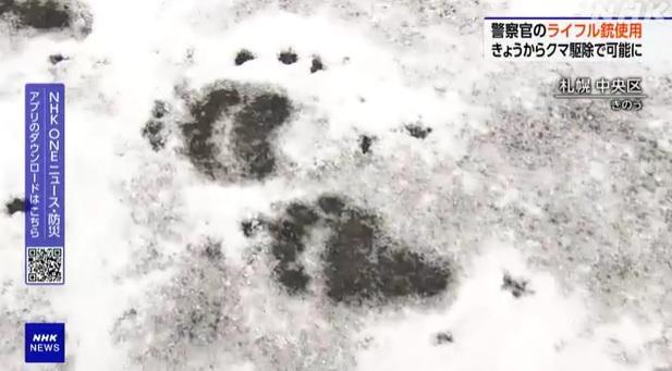 札幌中央區一處住宅外的雪地發現大量熊腳印。(互聯網)