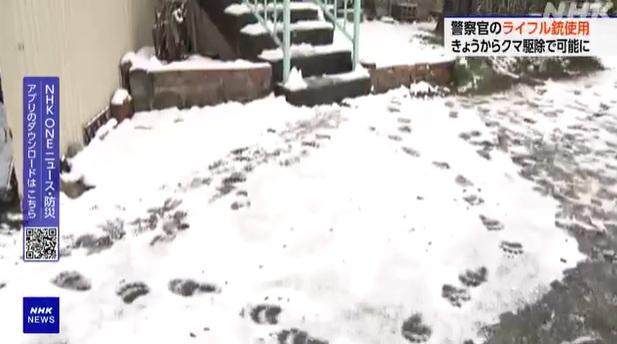 札幌中央區一處住宅外的雪地發現大量熊腳印。(互聯網)