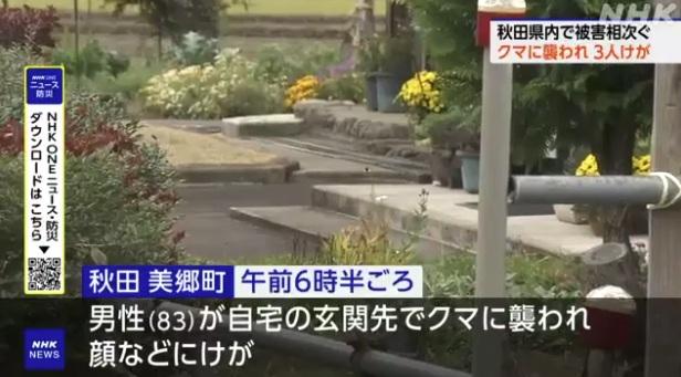 秋田縣美鄉町熊襲現場。(互聯網)