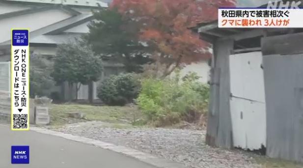 秋田縣五城目町遭熊襲的民宅。(互聯網)