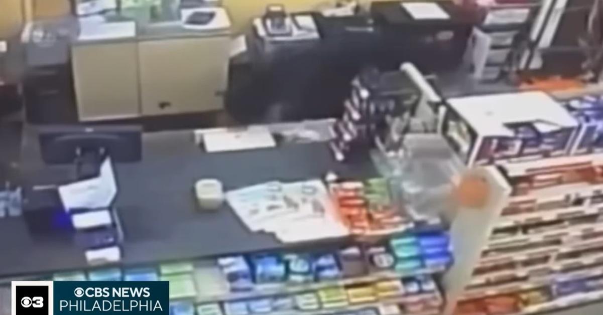 黑熊跟著弗雷齊進入商店。(互聯網)