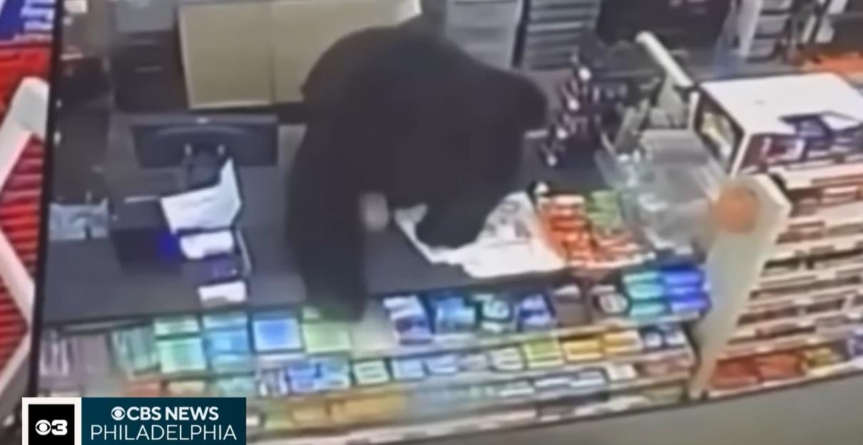 黑熊爬上收銀櫃枱。(互聯網)