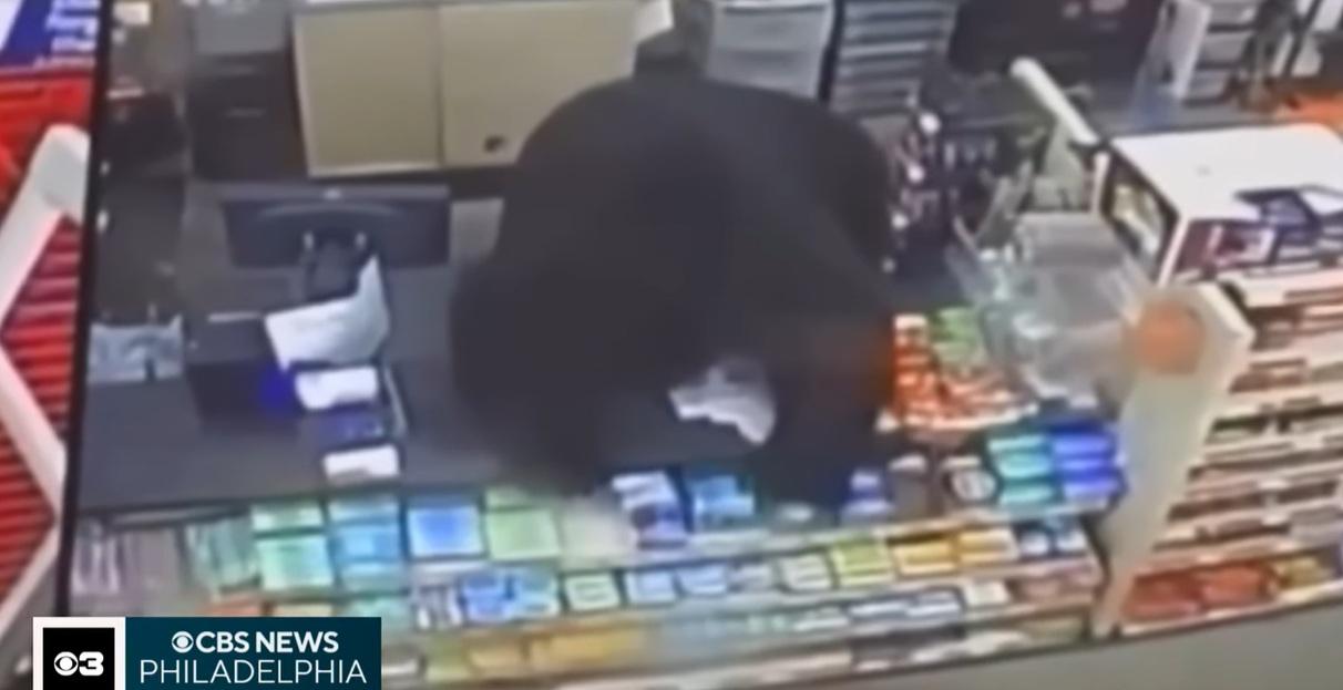 黑熊爬上收銀櫃枱。(互聯網)