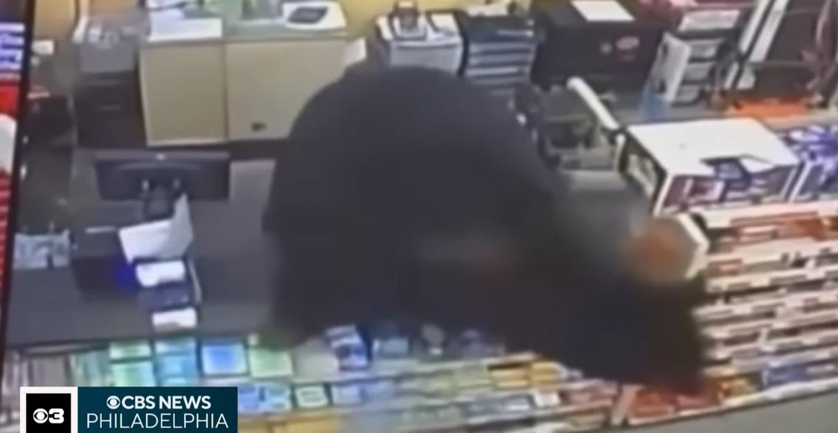 黑熊爬上收銀櫃枱。(互聯網)