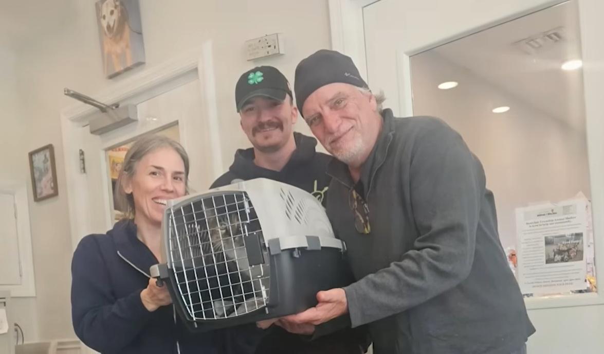 哈伯勒到動物收容所領回貓咪。(互聯網)