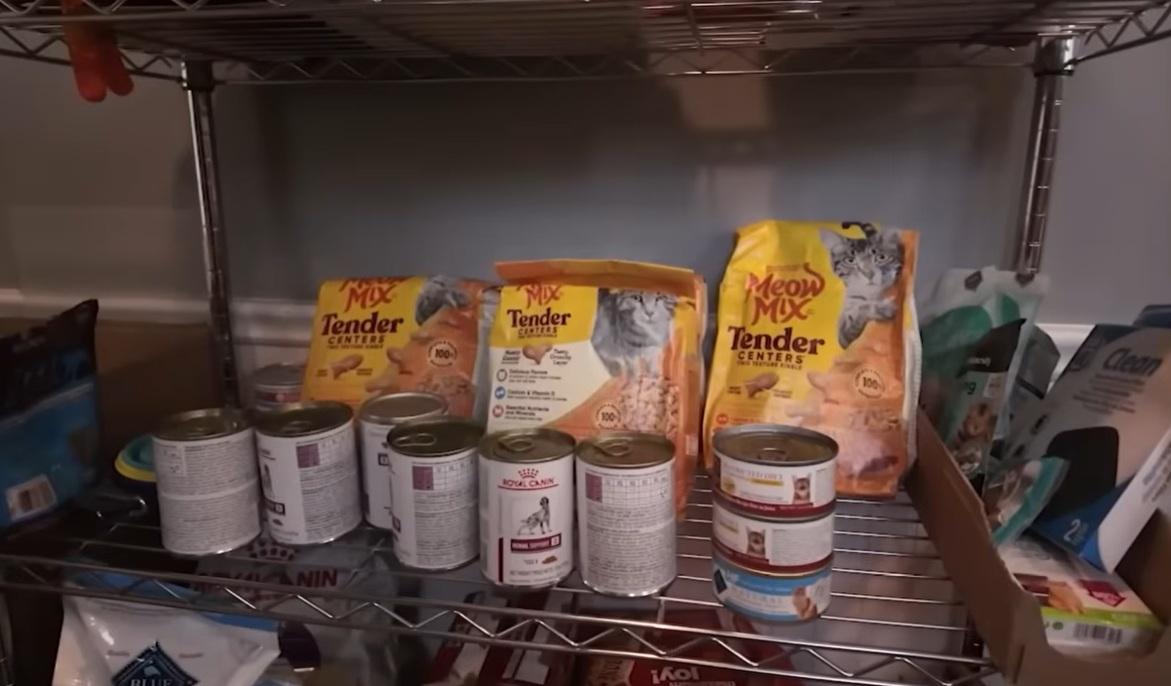 新澤西州蒙克萊爾鎮動物收容所。(互聯網)