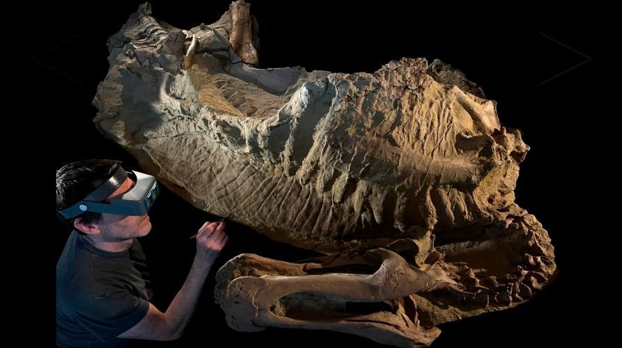 6700萬年前的化石不僅保存了軟組織,還揭示了鴨嘴龍(Edmontosaurus)背部有尖刺、腳部有蹄的真實外觀。(芝加哥大學生物科學系)