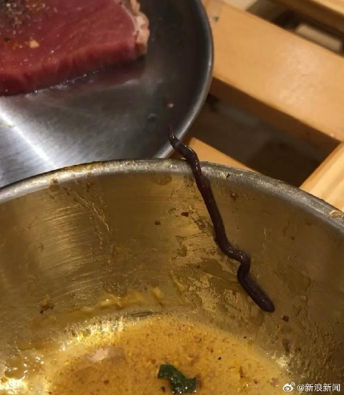 疑似水蛭的長條活蟲。(《廣州日報》)