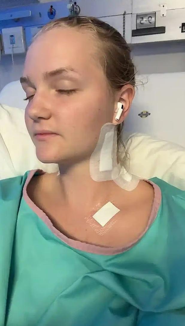 博伊被獅子咬傷頭部,傷勢嚴重。(互聯網)