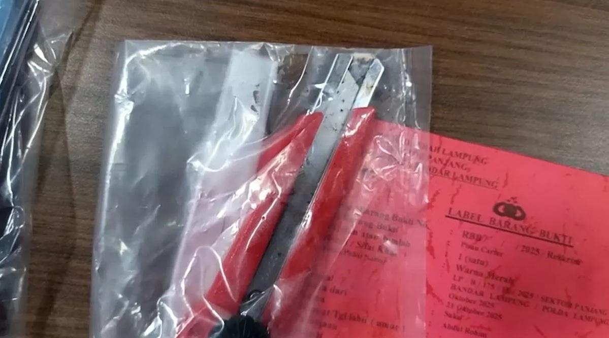 辛蒂雅用來襲擊情夫的鎅刀。(互聯網)